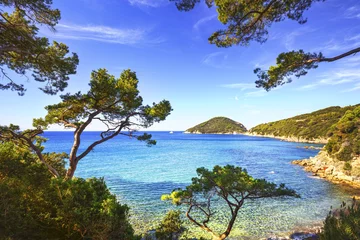 Rolgordijnen Elba island sea, Portoferraio Viticcio beach coast and trees. Tu © stevanzz