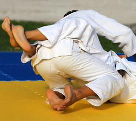 people fight with martial arts during the sporting event