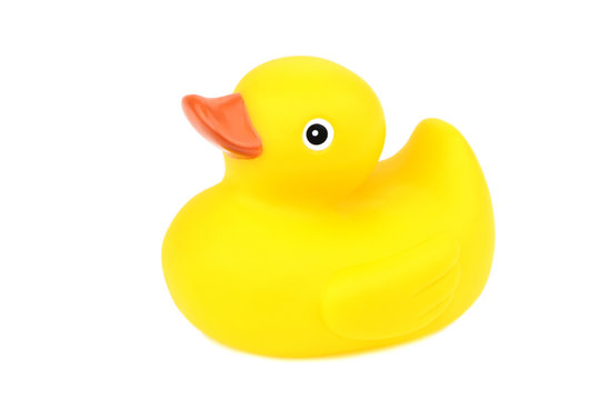 Yellow rubber duck on white background.