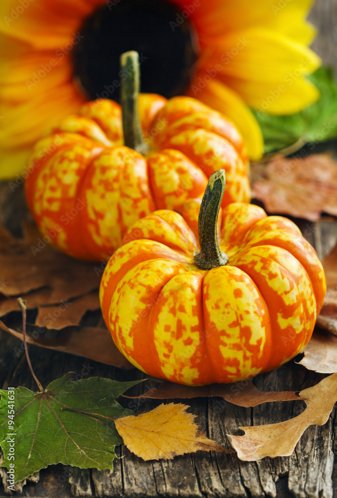 Poster autumn decorative pumpkins