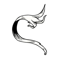 traditional hand drawn floral swirl