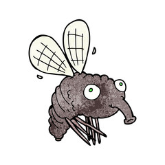 cartoon fly