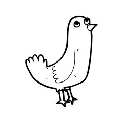 line drawing cartoon  bird