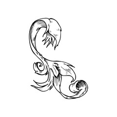 traditional hand drawn floral swirl