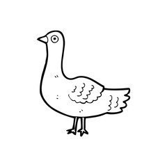 line drawing cartoon  bird