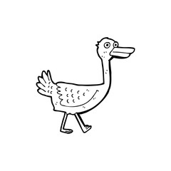 line drawing cartoon  bird