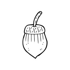line drawing cartoon  acorn