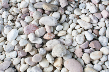 An abstract background with dry round reeble stones
