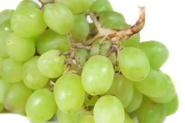 Green grape isolated on white background