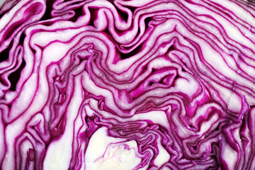 Red cabbage closeup
