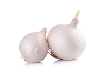 white onion isolated on white background