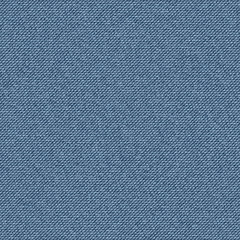 Fototapeta na wymiar Textured striped blue jeans denim. Seamless pattern. Vector.