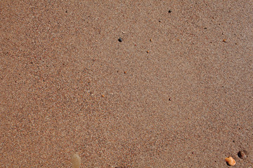 Wet sand background