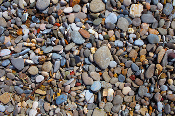 Marine wet pebbles for background