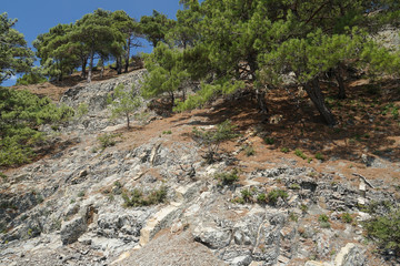 mountain