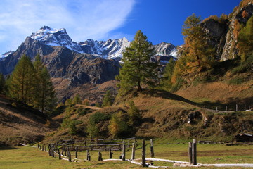 Autunno all'Alpe Devero, esplosione di colori nelle Alpi piemontesi