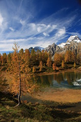Autunno all'Alpe Devero, esplosione di colori nelle Alpi piemontesi