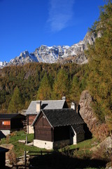 Fototapeta na wymiar Autunno all'Alpe Devero, esplosione di colori nelle Alpi piemontesi
