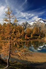Autunno all'Alpe Devero, esplosione di colori nelle Alpi piemontesi