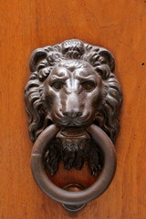 Door knocker in form of the lion muzzle