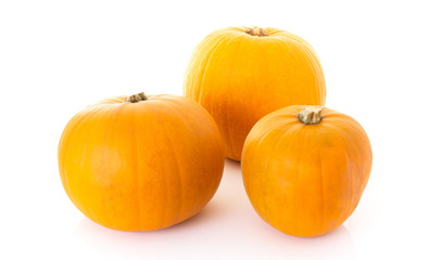 Three Pumpkins on white background