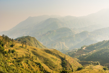 Vietnam, Sapa -  Ricefields