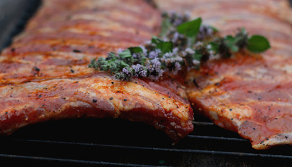 meat skewers on the barbecue coals