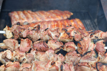 meat skewers on the barbecue coals