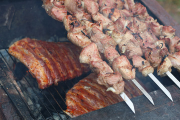 meat skewers on the barbecue coals