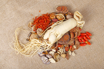 Traditional Chinese medicine (TCM) and ginseng, close-up