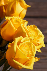 Yellow Roses - 94554257