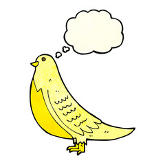 cartoon bird with thought bubble