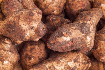 basket of Jerusalem artichoke