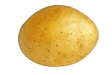 Potato isolated on white background