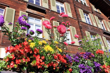 Fototapeta na wymiar Schweizer Bauernhaus mit Blumen
