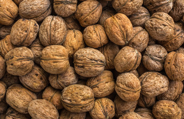nuts.walnuts background