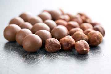 hazelnuts in chocolate