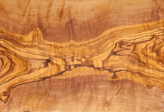 Fototapeta Olive tree wood slice with texture and details