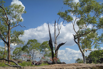 Australia, Northern Territory