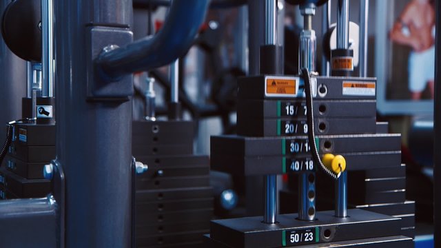 Professional Sport Weights In Gym