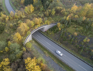 Wildbrücke oder Grünbrücke über Bundesstraße