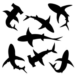 Shark vector silhouettes
