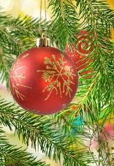 Fototapeta na wymiar christmas balls on the christmas tree