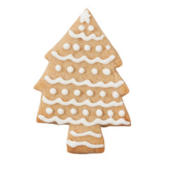Gingerbread cookie in Tree shape isolated on white