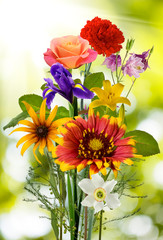 Image of flowers in the garden