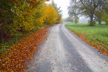 Road at country in autumn