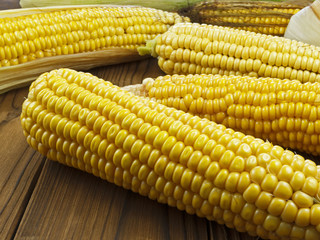 ripe corn