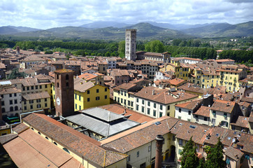 Fototapeta na wymiar Italy, Lucca, view from Guinigi Tower over the medieval village with church San Frediano