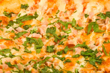 Isolated image of delicious pizza