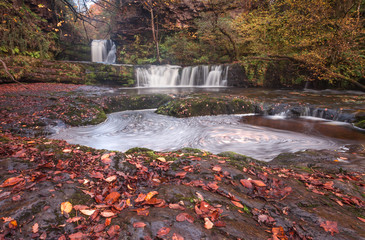 Autumn leaves at Sgwd Ddwli Isaf waterfalls on the river Neath, near Pontneddfechan in South Wales, UK.
